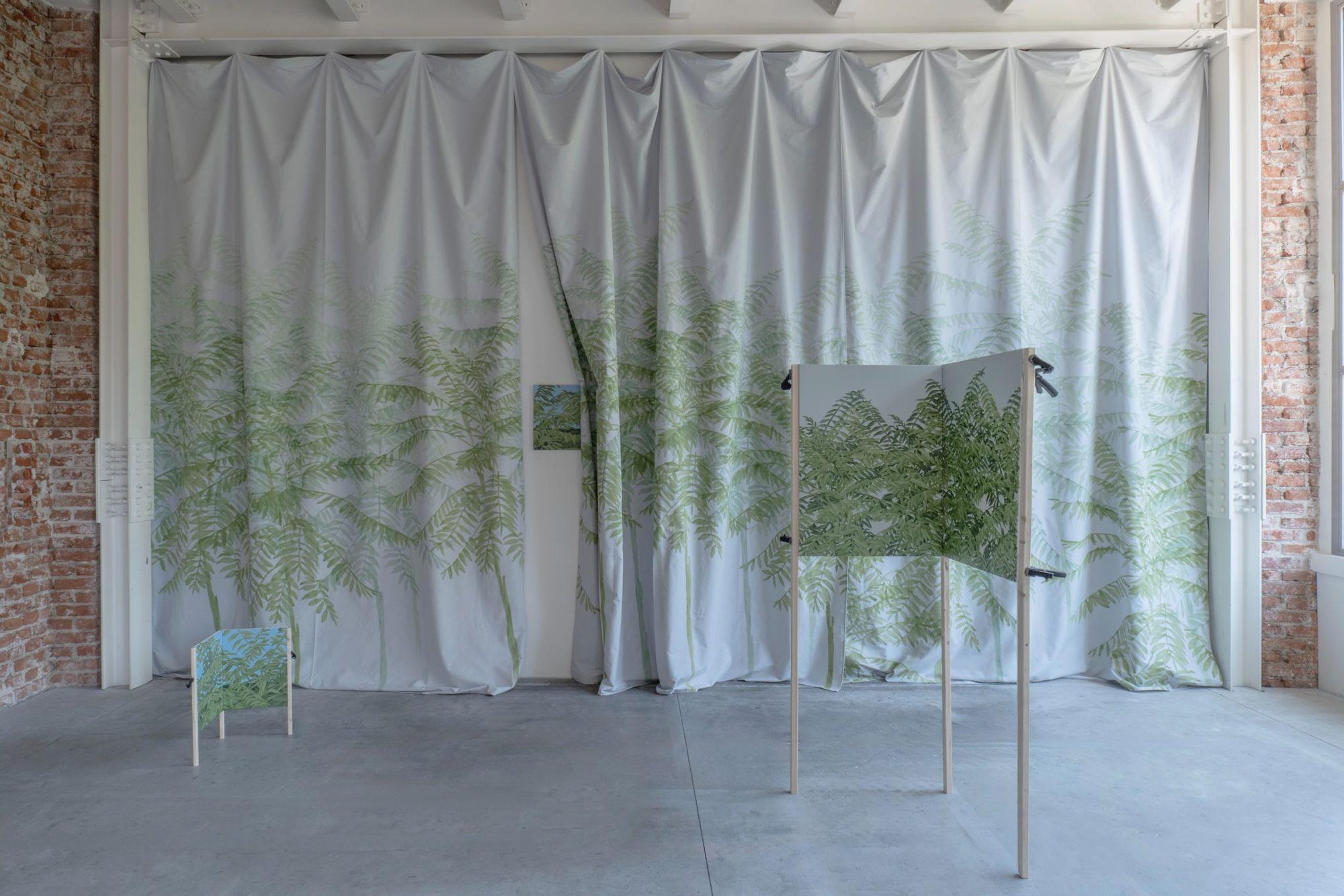 Ailanthus, installation view, 2026