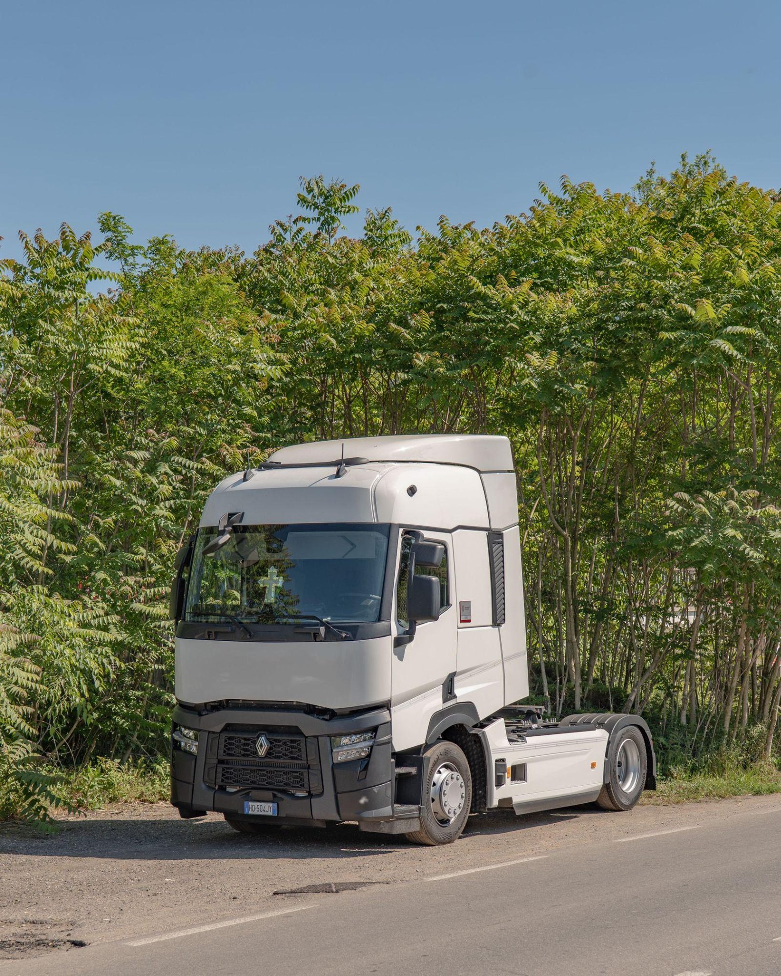 Ailanthus altissima along a roadside, research image, 2026