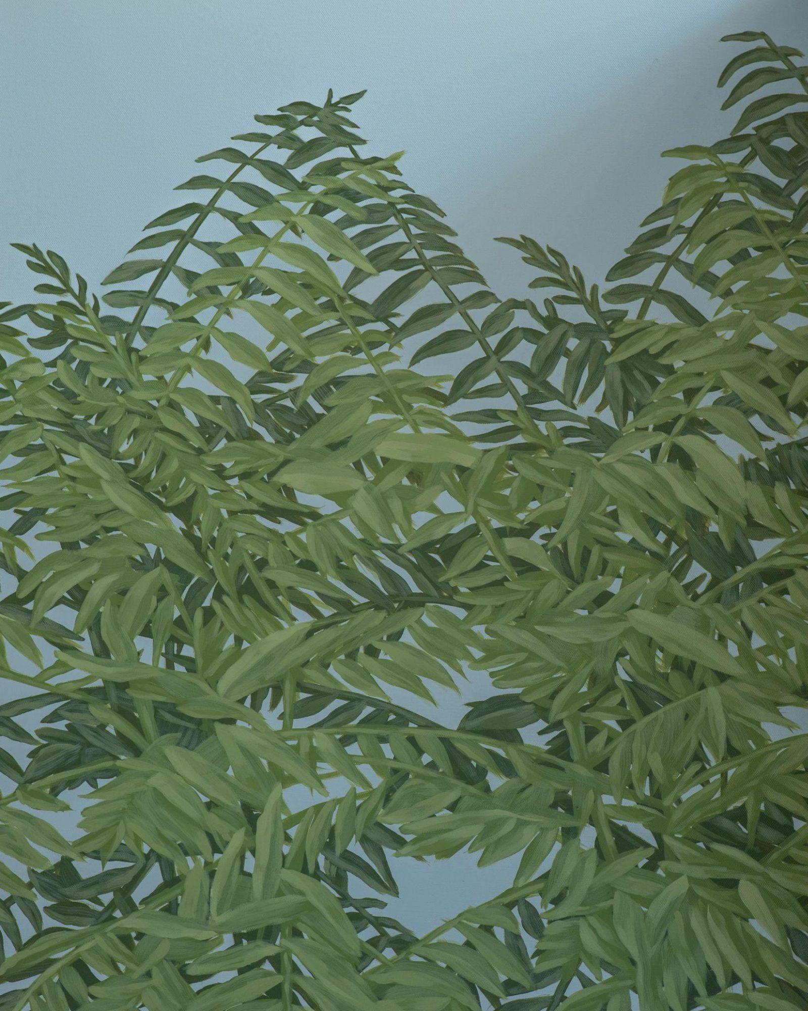 Ailanthus, detail, 2026