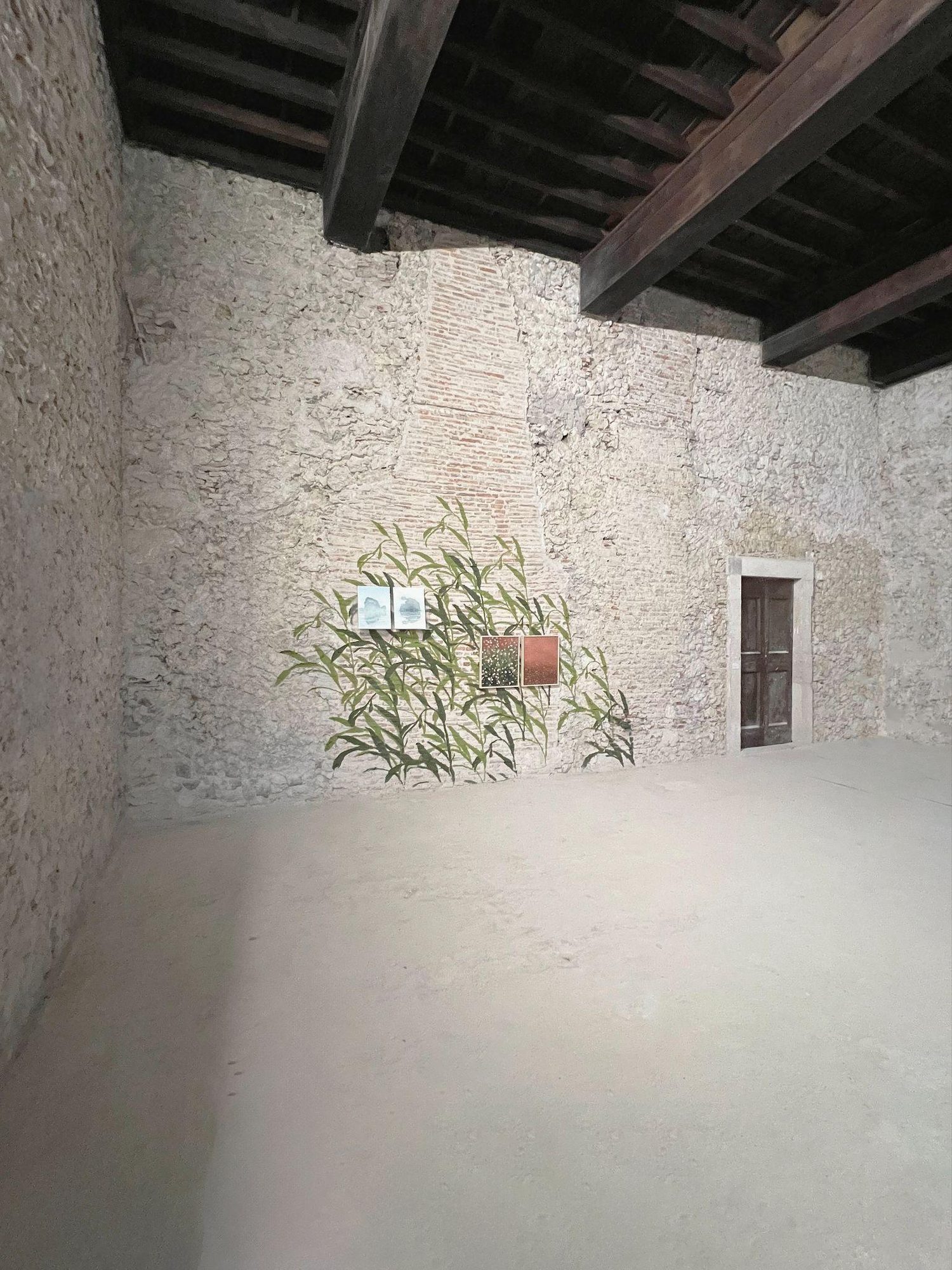 Contemporanea 24, installation view, Palazzo Ducale, Tagliacozzo, 2024