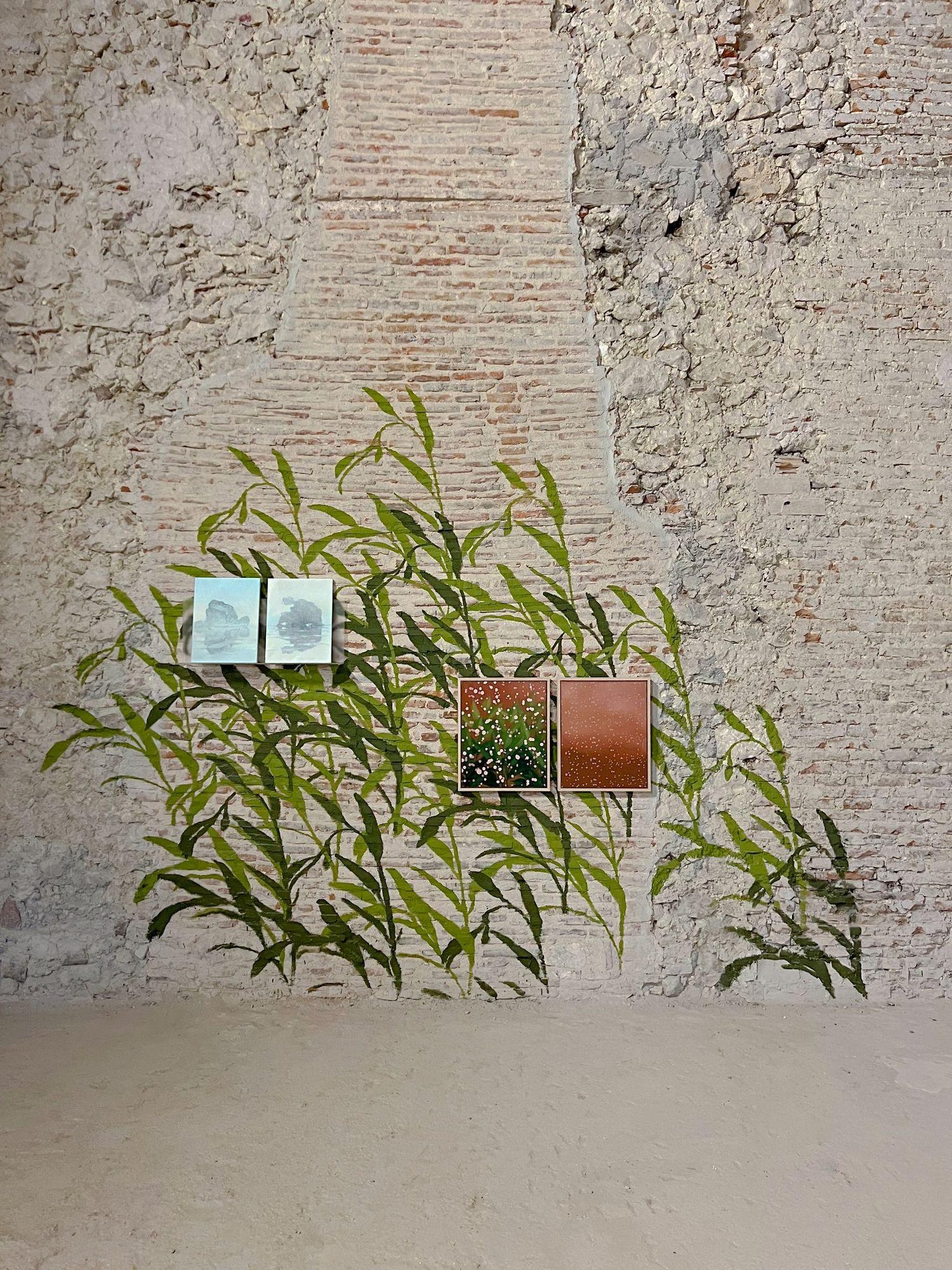 Contemporanea 24, installation view, 2024