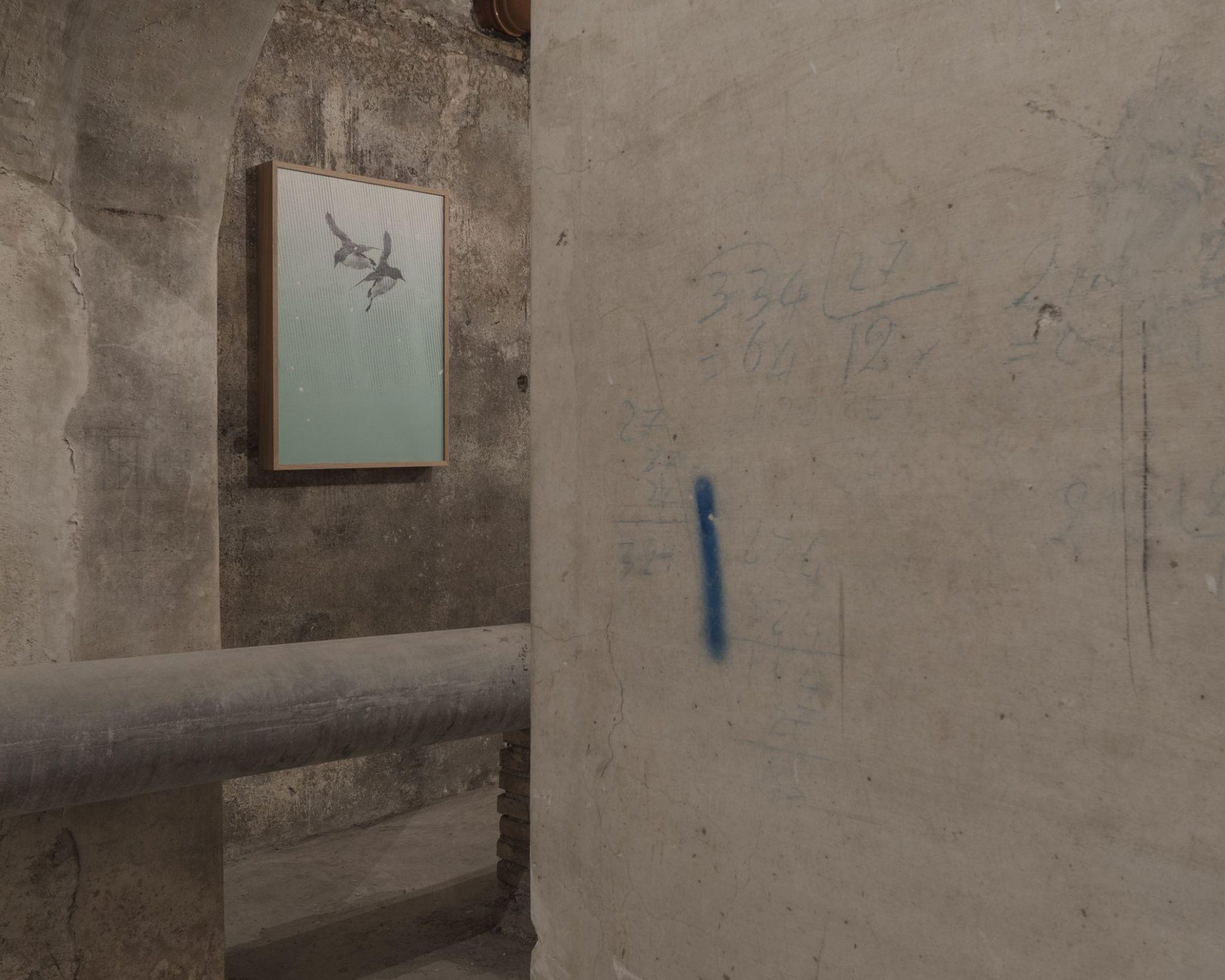 Fremo Immagine, installation view, 2019