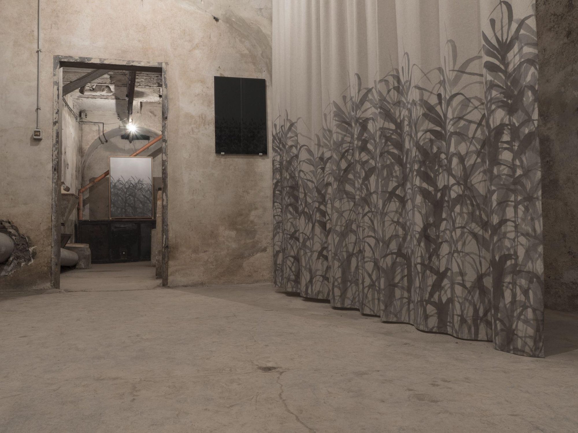 Fremo Immagine, installation view, 2019