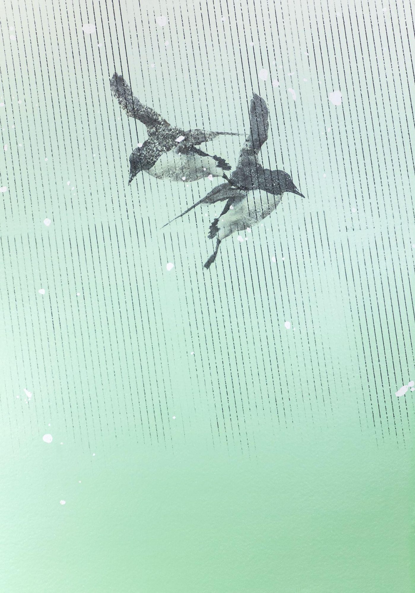 Birds, digital printed film, digital prints and solvent on paper, 70 × 100 cm, 2019