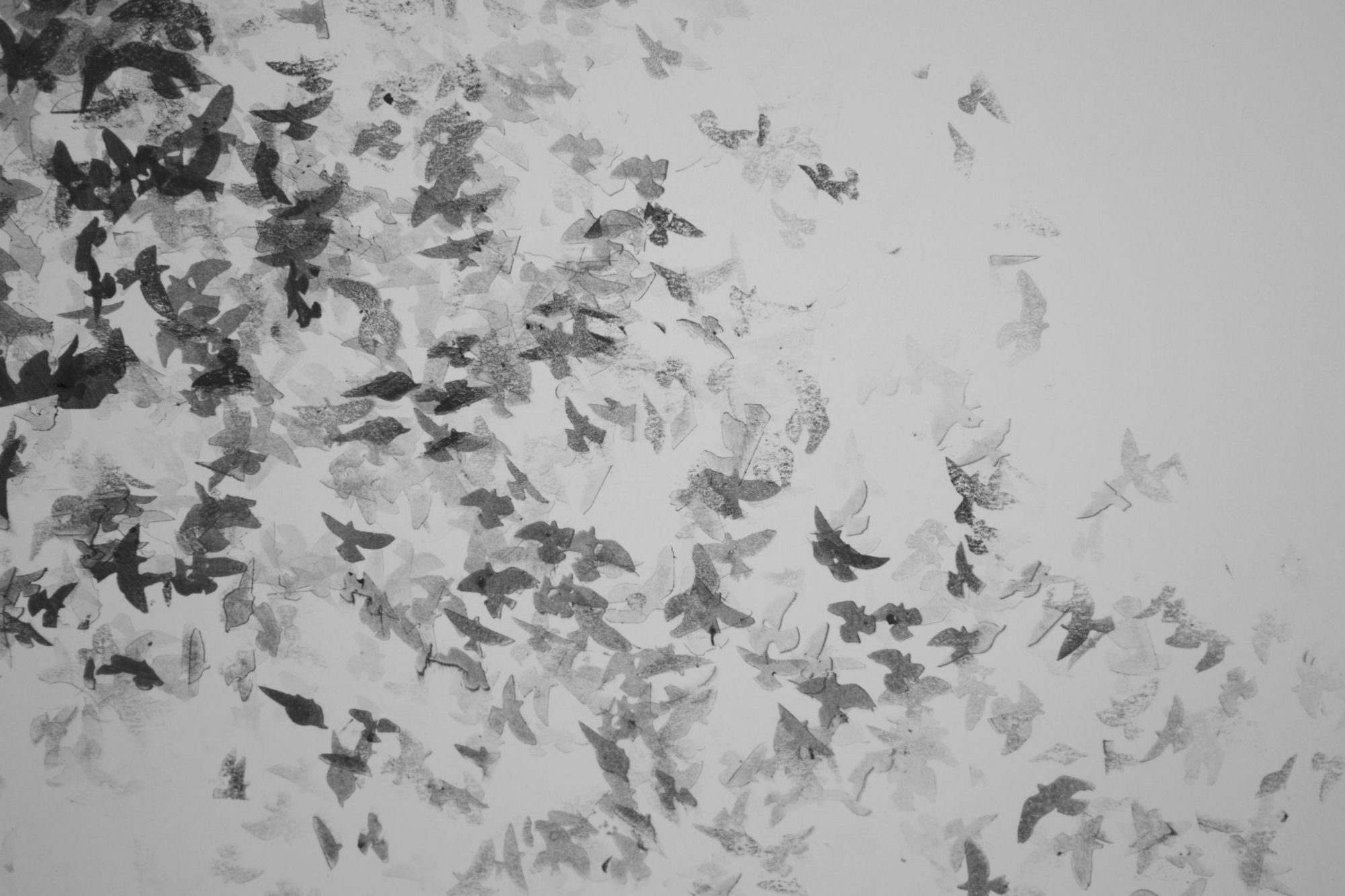 Flocks, detail, rubber stamp on paper, 2019