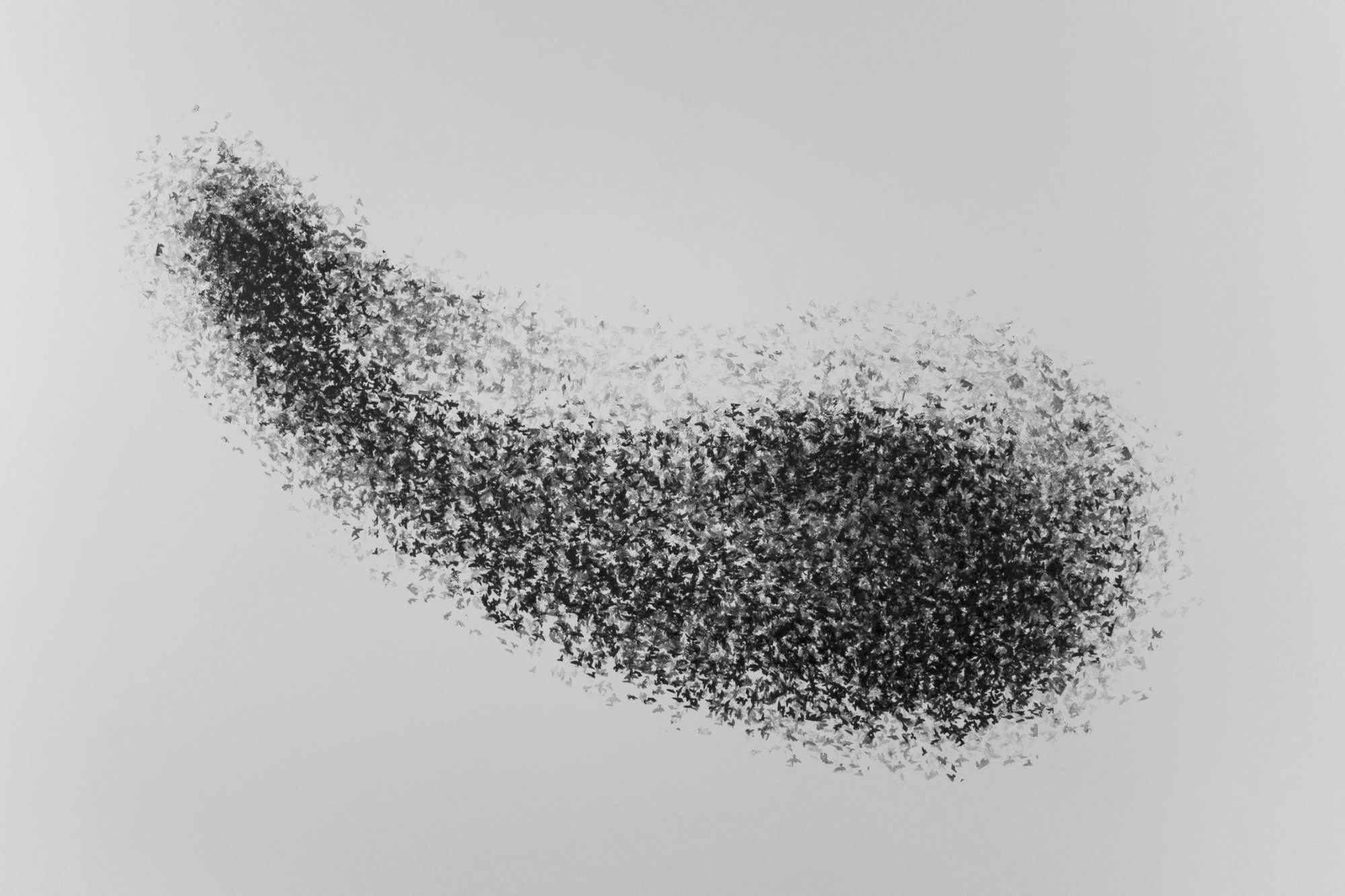 Flocks, rubber stamp on paper, 200 × 150 cm, 2019
