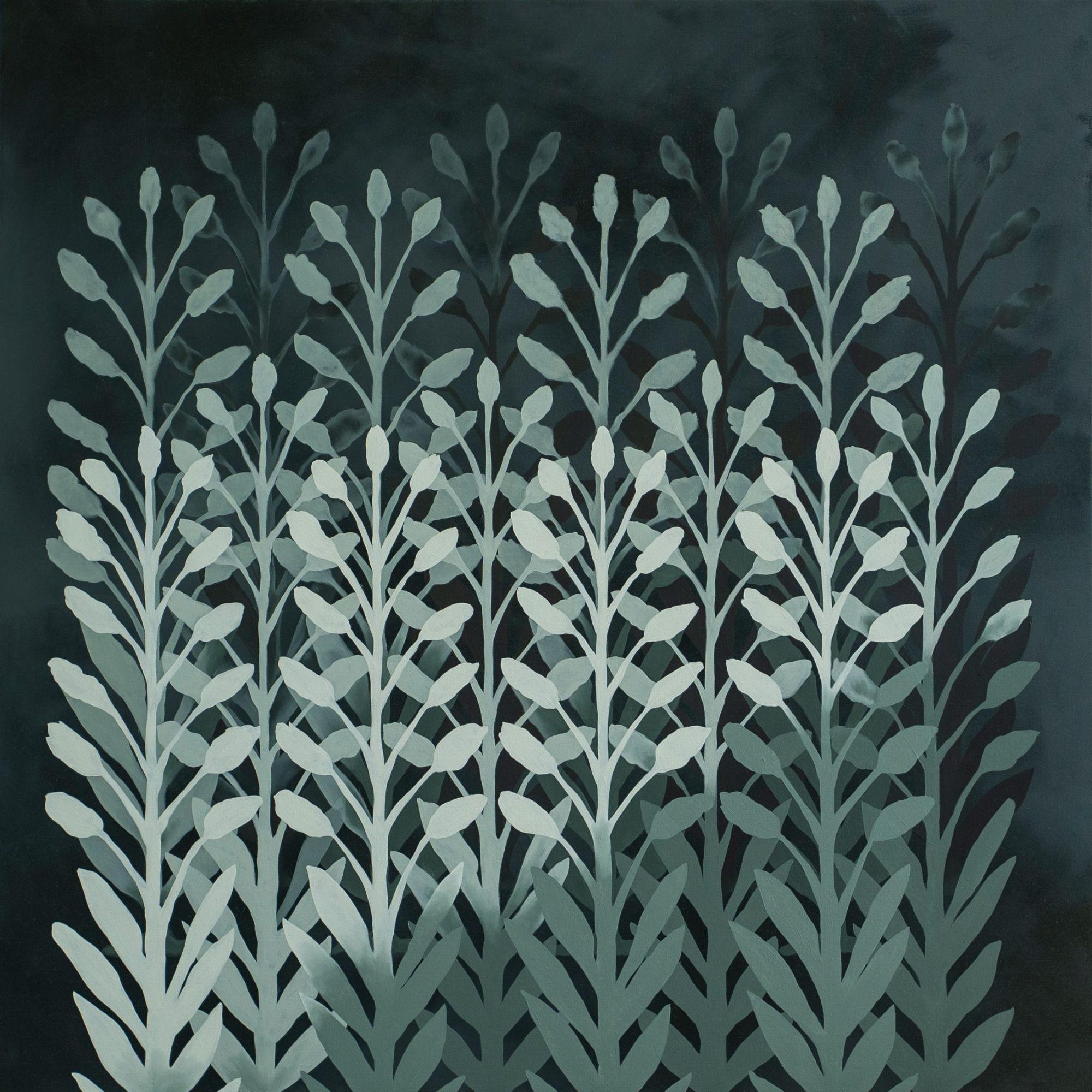 Klon, oil on canvas, 100 × 100 cm, 2020