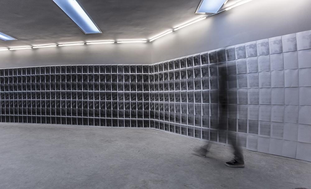 Hortus, photostatic copies, installation view, 2015