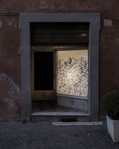 I Know a Place, translucent paper, markers, light. Installation view, 2019