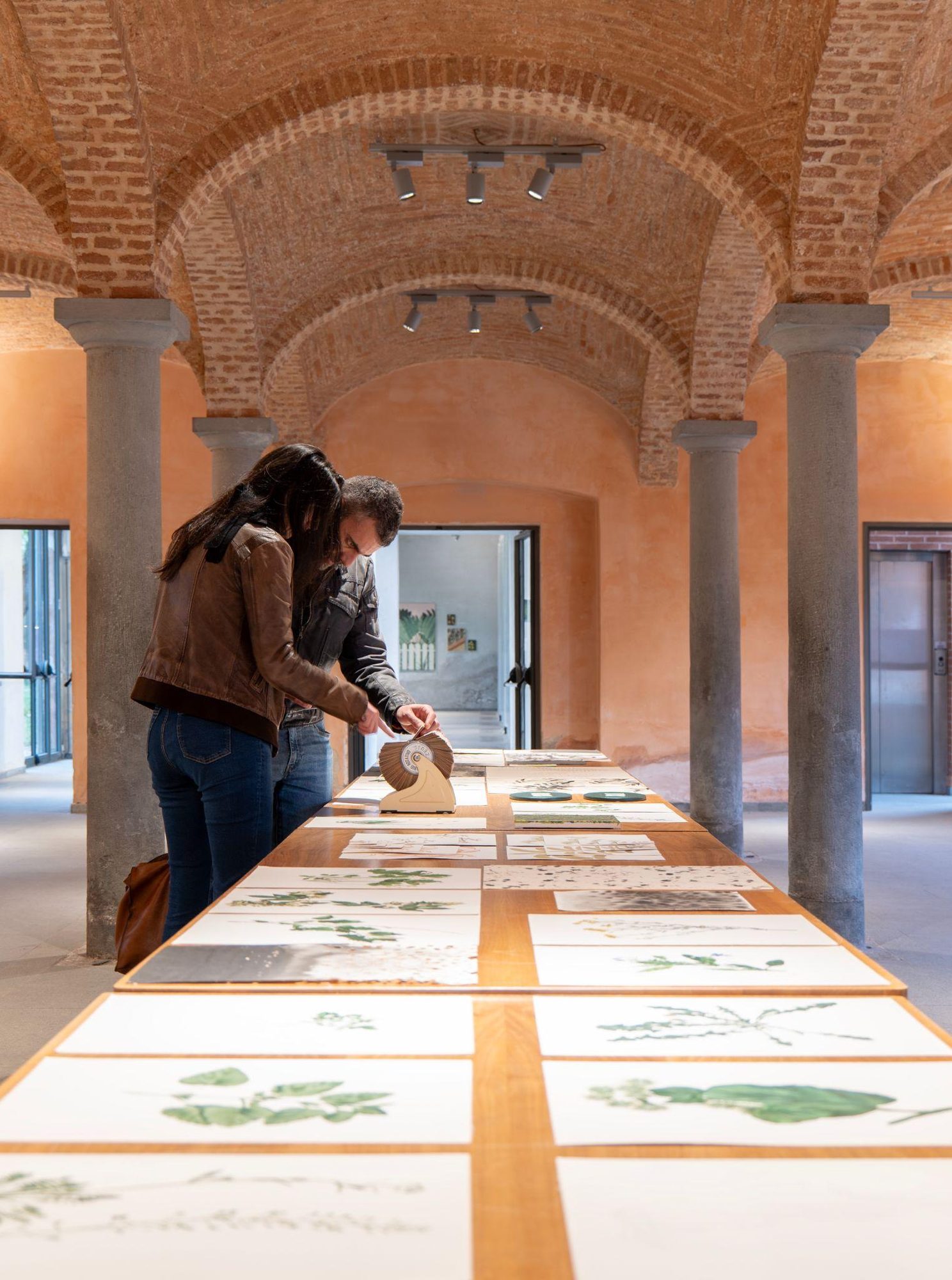 Salvatica, installation view, 2026